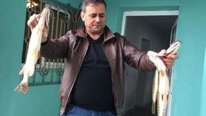 Un polițist de 46 de ani din Slatina a murit după ce a făcut accident vascular la muncă