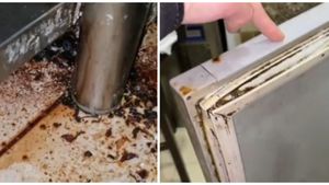 Incredibil! Ce au putut să găsească inspectorii ANPC în 2 localuri celebre din Capitală