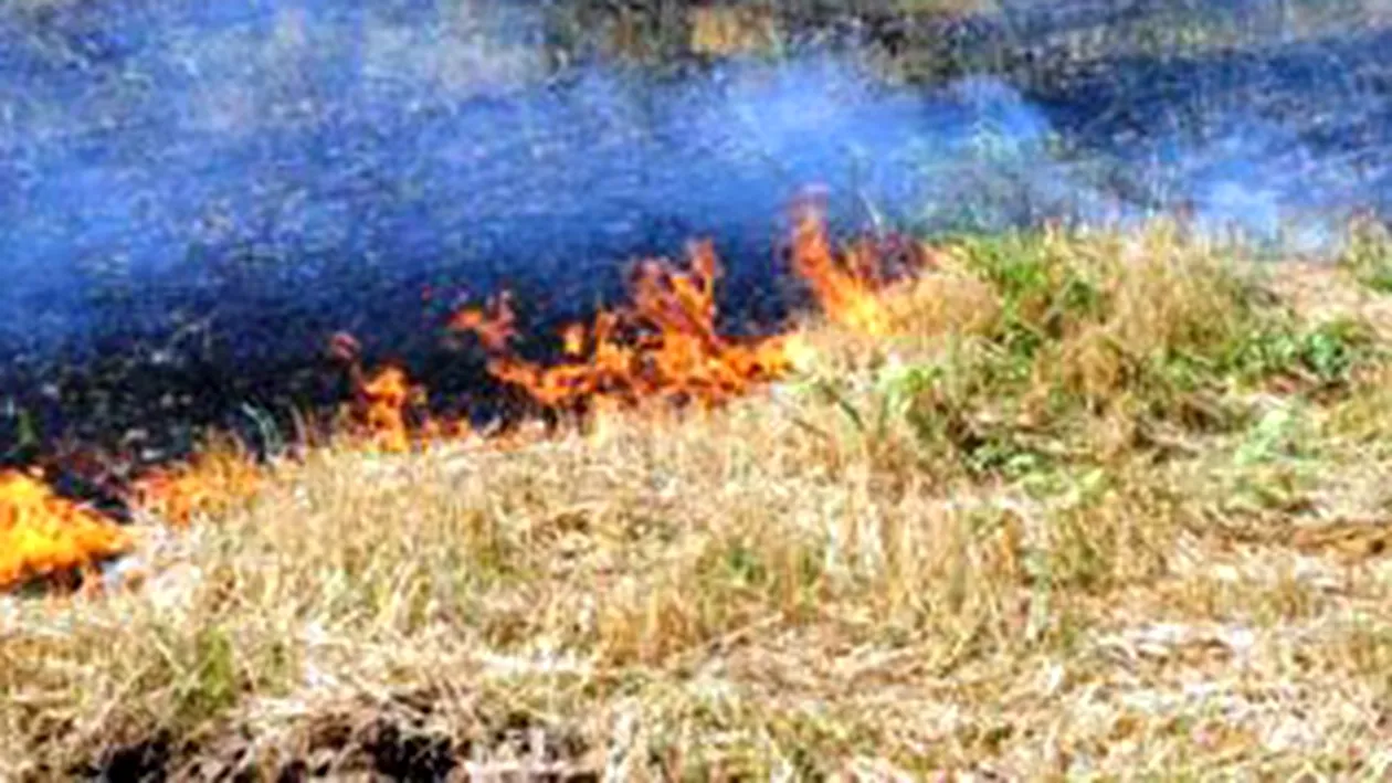 Un incendiu a devastat 1.800 de hectare de teren in estul Spaniei