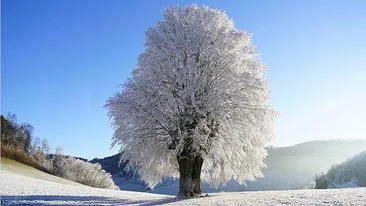 Prognoza meteo 3 decembrie 2019: Meteorologii au anunțat o nouă răcire a vremii! În ce zone va ninge