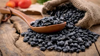 De ce este bine să mănânci mai des fasole neagră. Nutriționiștii explică beneficiile pentru sănătate