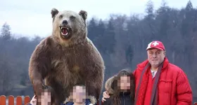 Galerie foto - poza 2