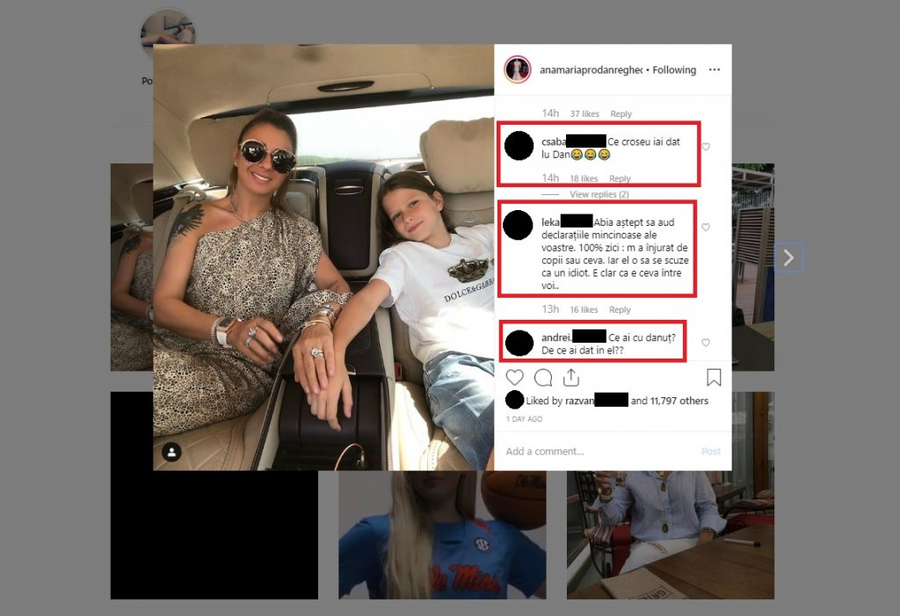 Aceasta e ultima postare de pe contul oficial al impresarei, iar internauții i-au lăsat numeroase comentarii în legătură cu lovitura puternică pe care i-a dat-o lui Dan Alexa în plină figură.