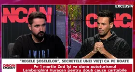 Galerie foto - poza 4