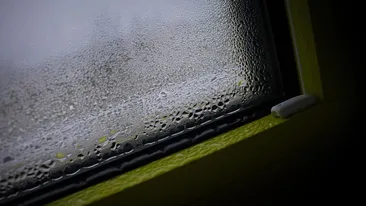 Cum scapi de condensul de pe geamuri cu un singur produs din Pet Shop. Toate gospodinele trebuie să ştie acest truc