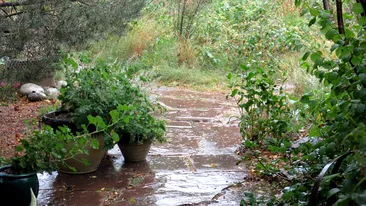 METEO 24 NOIEMBRIE. Au venit ploile! Vezi cat de frig va fi astazi!