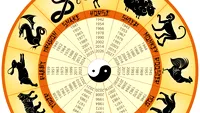 Horoscopul chinezesc pentru 8 februarie. Gena Rusu, avertizări pentru nativii zodiilor de Șarpe