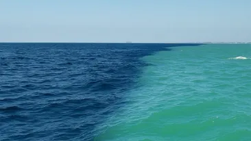 Motivul pentru care Marea Nordului și Marea Baltică nu se amestecă. Fenomenul rarisim care a trasat o graniță între cele două mări