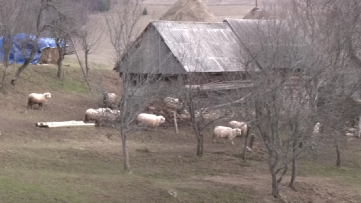 Localitatea din România care este în pragul dispariției! Doar 7 oameni mai locuiesc aici: ”Ne mănâncă sălbăticiunile”