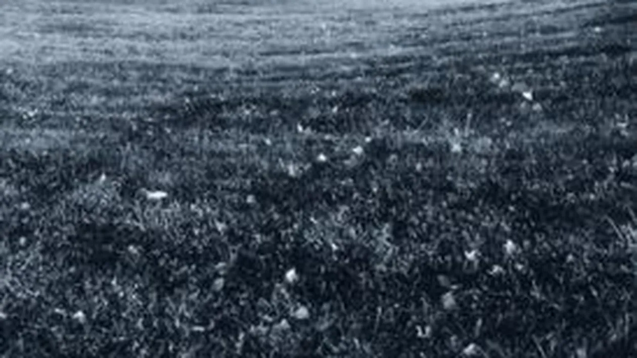 Cel putin 23 de morti si peste 160 de raniti in China, in urma unei tornade