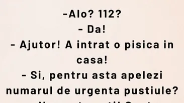 BANCUL ZILEI | Ajutor! A intrat pisica în casă
