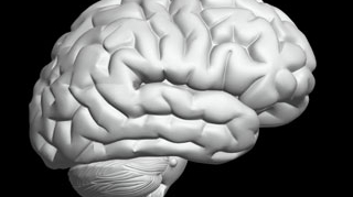 Implantul cerebral cu matase, eficient in tratarea epilepsiei