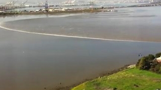 VIDEO Primele valuri provocate de tsunami-ul din Japonia care au ajuns in California pot pune in pericol infrastructura