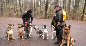 Galerie foto - poza 1