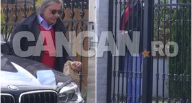 Galerie foto - poza 2