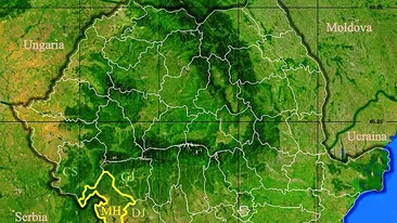 Rezultate Evaluarea Națională 2019 (Capacitate) Mehedinți