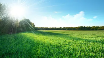 METEO 11 IULIE! Vremea va fi călduroasă, iar disconfortul termic se va accentua!