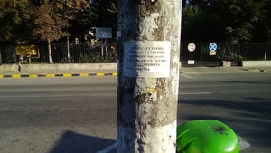 Anunț matrimonial haios lipit de un bucureștean pe un stâlp din Berceni: "Domn caut..."