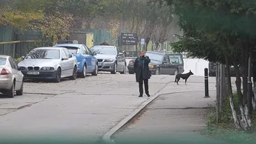 Imaginile durerii. Fiica adoptivă a Stelei Popescu a rămas fără cuvinte! N-a avut puterea nici să…