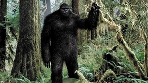 A dat nas in nas cu Bigfoot! Cum a reactionat o femeie cand s-a intalnit cu monstrul inalt de doi metri!
