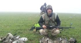 Galerie foto - poza 3