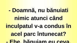Bancul sfârșitului de lună | "Doamnă, nu bănuiați nimic?"