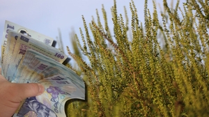 Amendă de 20.000 de lei pentru proprietarii de terenuri care nu fac asta, în 2026
