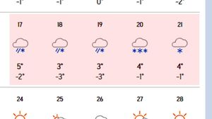 Vortex polar. Ninge 5 zile la rând în România, începând de săptămâna viitoare. Care sunt orașele afectate