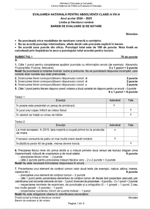 Simulare Evaluare Națională 2025 la Limba Română. Ce subiecte au avut elevii de clasa a VIII-a