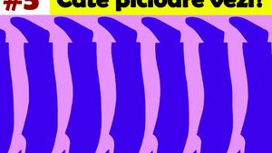 Test IQ de rezolvat în 30 de secunde | Câte picioare sunt, de fapt, în această imagine?