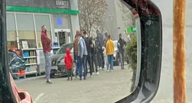 Galerie foto - poza 2