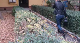 Galerie foto - poza 4