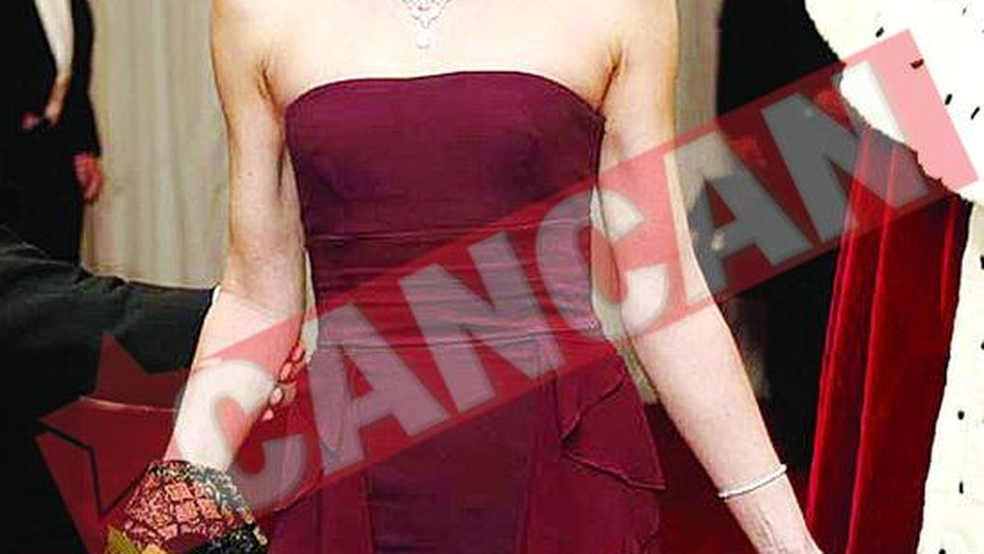 Carla Bruni canta despre 30 de amanti