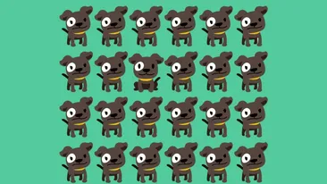 Test de inteligență | Unul dintre acești 24 de căței este diferit de ceilalți. Găsiți impostorul!