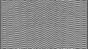 Iluzie optică virală | Identificați animalul ascuns în această fotografie!