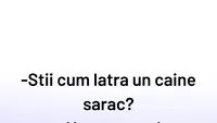 BANCUL ZILEI | Cum latră un câine sărac