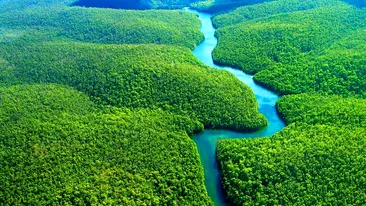 Următoarea pandemie va veni din Pădurea Amazoniană? Specialiștii au explicațiile
