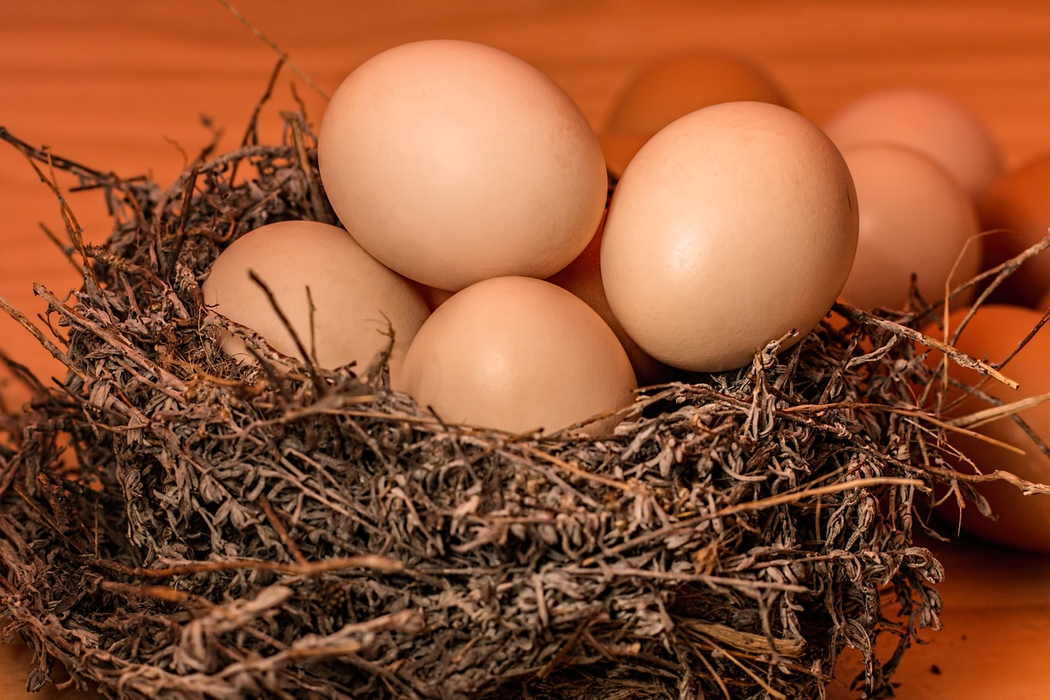 Ouăle infectate cu salmonella nu pot fi depistate decât în urma testelor (Foto: Pixabay)