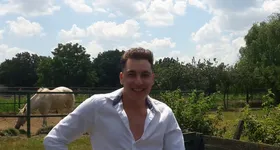 Galerie foto - poza 2