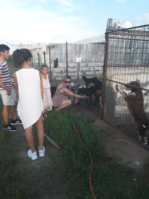 Daniela Popovici a ajuns să îngrijească de 400 de câini