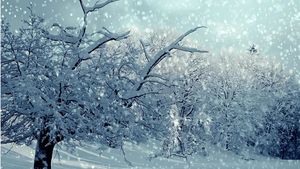 Vin ninsorile în weekend! Care sunt zonele din România care vor îmbrăca straie albe