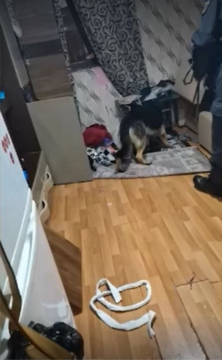 Clanul Toporaru din București a fost anihilat. Liderul și fiii săi au fost încătușați în urma unor percheziții care au fost filmate | FOTO