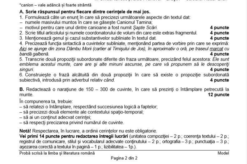 Evaluarea Națională 2019. Ce subiecte au picat la limba română în 2018