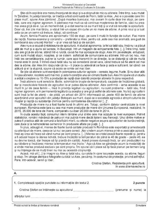 Simulare Evaluare Națională 2025 la Limba Română. Ce subiecte au avut elevii de clasa a VIII-a