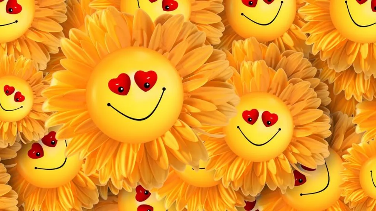 Bancul Zilei | Un tip intră in dormitor și își întreabă jucăuș soția. Finalul este nebunesc