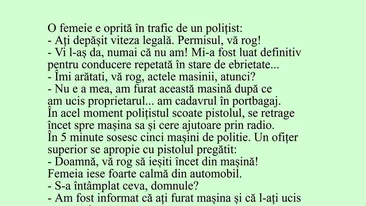 BANC | O femeie e oprită în trafic de un polițist: Permisul, vă rog!