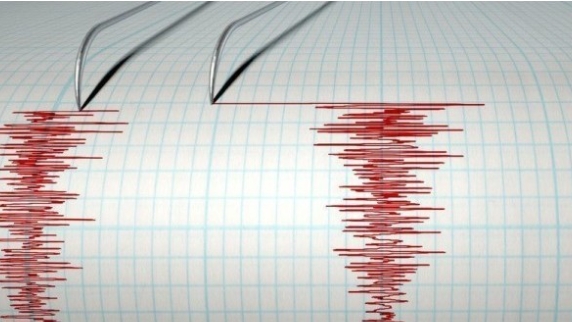 Un cutremur cu magnitudinea 6,5 s-a produs în nord-estul Japoniei