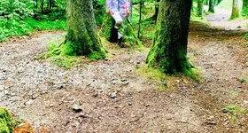 Galerie foto - poza 2