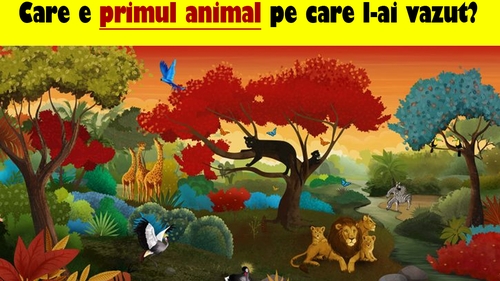 Test psihologic | Care e primul animal pe care l-ai văzut? Răspunsul îți va spune cea mai mare problemă pe care o ai
