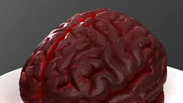 Au primit de la pompe funerare creierul bunicii decedate